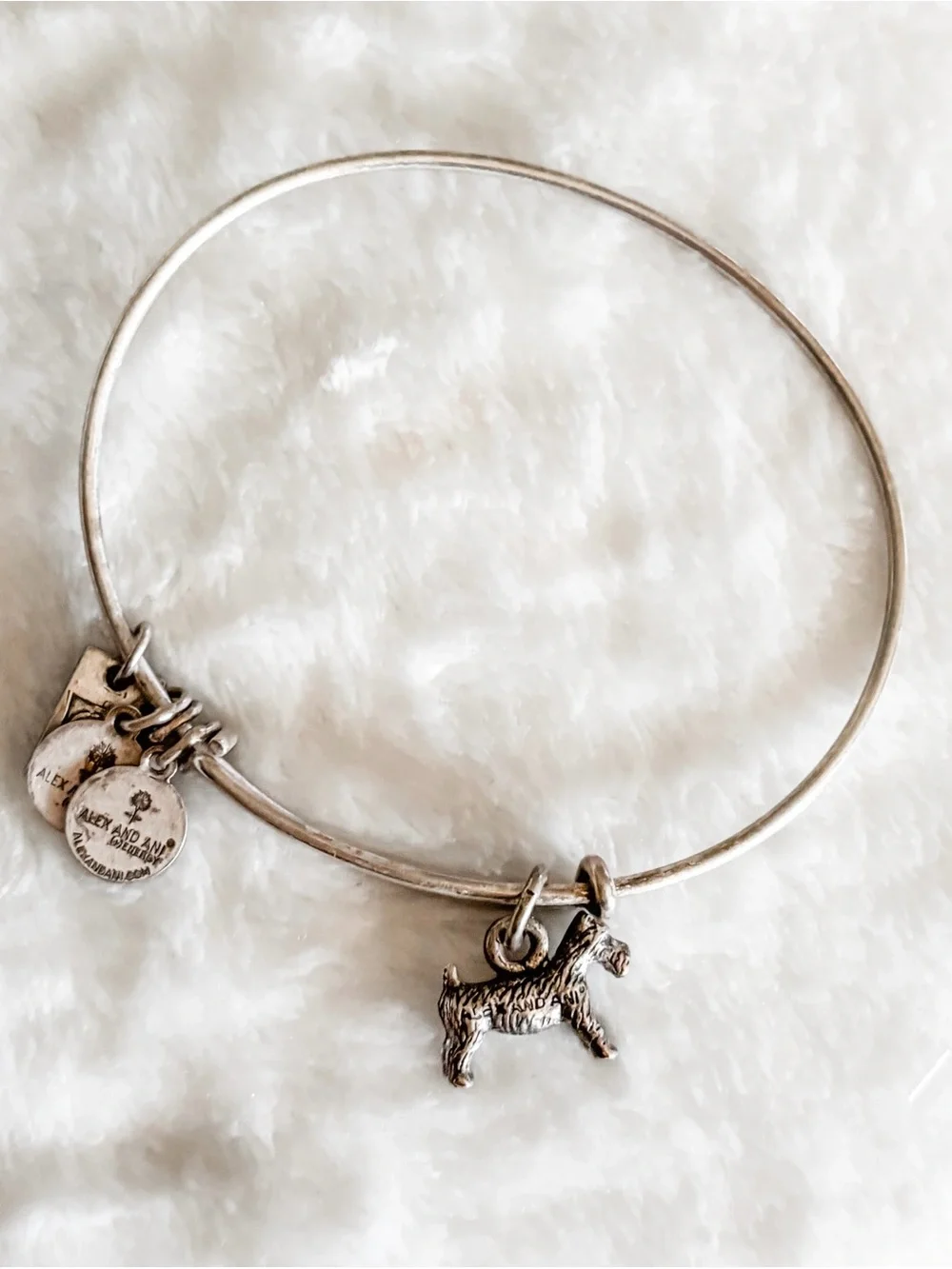 RARE! RETIRED! Alex and Ani Monopoly Dog Charm Bangle Bracelet - Silver